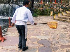 -玉水寨丽江源餐厅