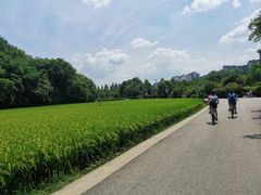 -贵阳市花溪国家城市湿地公园