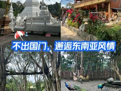-西双版纳傣族园