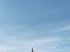 -人民防洪胜利纪念塔