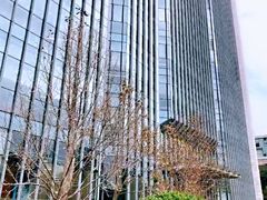 -同济大学图书馆(嘉定校区)