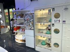 -小猫来了·猫咪专售(红山六九七九店)