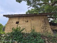 -杨家堂村