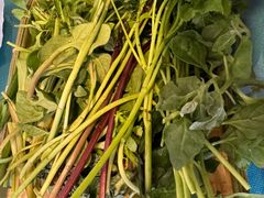 -慢丽江·云南野生菌土鸡锅(付家庄店)