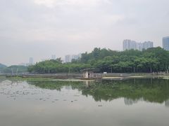 -月湖风景区