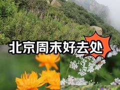 -白草畔自然风景区