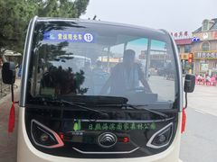-日照海滨国家森林公园