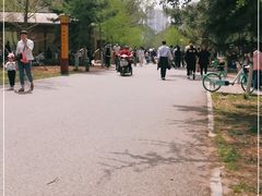 -长白岛森林公园