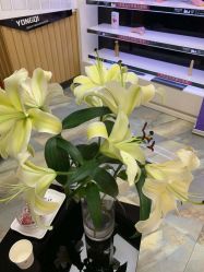 -永琪美容美发全国直营连锁