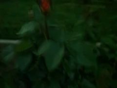 -食之六七·面(朝阳大悦城店)