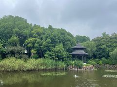 -天目湖山水园
