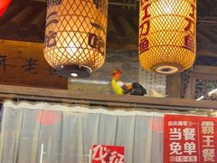 -永安水煮活鱼·仪征土菜院子