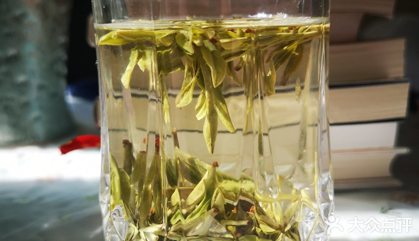 春茶正当时🍵🍵🍵