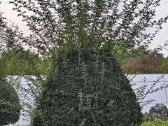 -石家庄市植物园