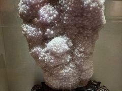 -陕西自然博物馆