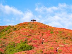 -大围山国家森林公园