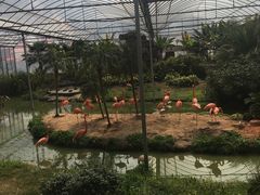 -无锡动物园·太湖欢乐园