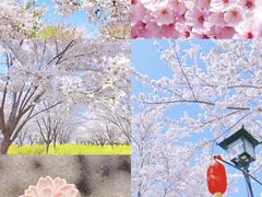 -古柏渡飞黄旅游区