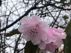 -九峰山