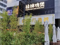 -禄婶鸡煲·打边炉
