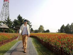 -羊亭河湿地公园