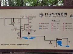 -洛阳白马寺