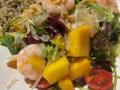 -HELLO 27 意面·沙拉·帕尼尼