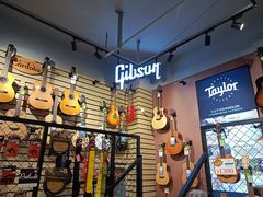 -柏斯琴行(汾阳店)