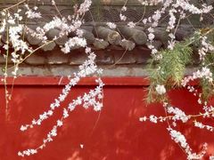-西安市广仁寺