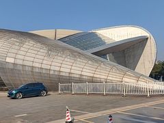 -广西体育中心-游泳馆