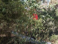 -云龙山