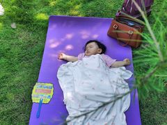 -铁山坪森林公园