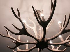 -Meowの猫咖(万家丽店)