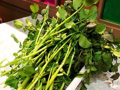 西洋菜-池记大牌档(广纸店)