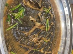 -今鲜源大酒店·中华餐饮名店(新湛路店)