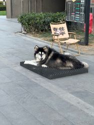 -杭州临平万丽酒店·万丽厅·宴会厅