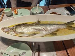苏帮清蒸白鱼-苏帮袁Sue Cuisine(来福士店)