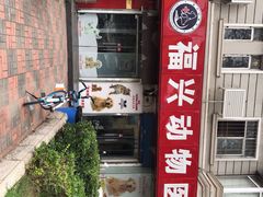 -瑞派福兴宠物医院犬猫全科·骨科·中西医结合(河东店)
