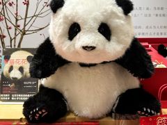 -三联韬奋书店(宽窄巷子店)