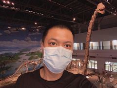 -自贡恐龙博物馆