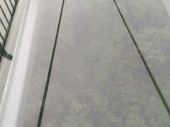 -呀诺达热带雨林