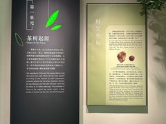 -中国茶叶博物馆(双峰馆区)