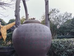 -天目湖山水园