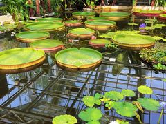 -国家植物园南园