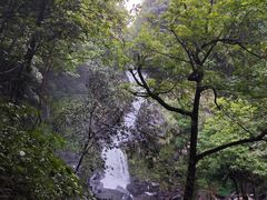 -石台牯牛降景区