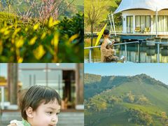 -帐篷客·溪龙茶谷度假酒店