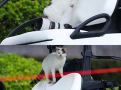 -苏州太湖国际高尔夫俱乐部