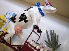 -蒙牛工业旅游景区