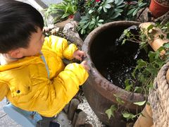 -杭州开元森泊度假乐园