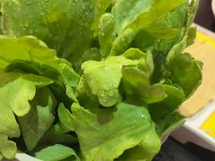 -芦月轩羊蝎子(劲松店)